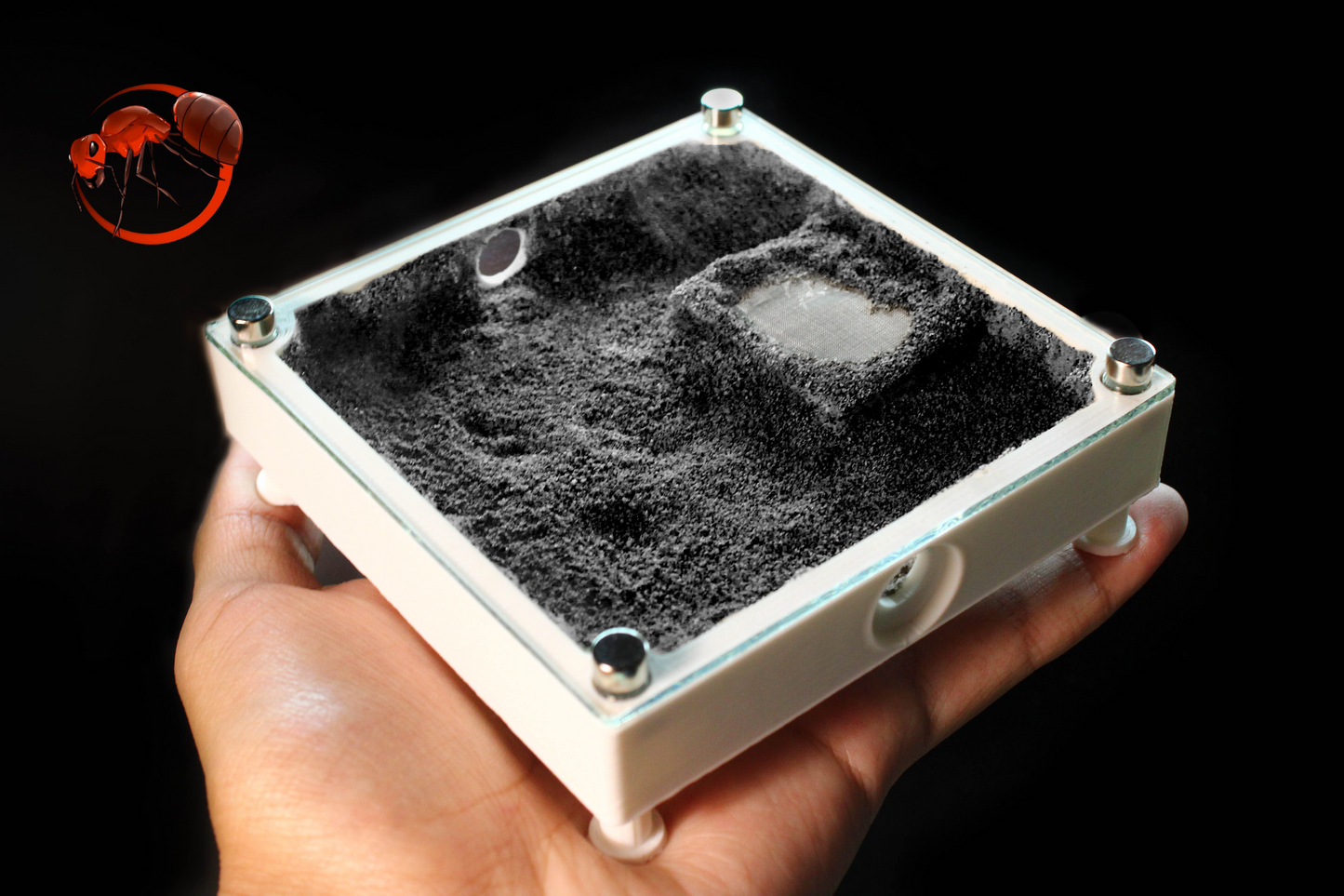 Ant nest (Sand Plains) 4x4in