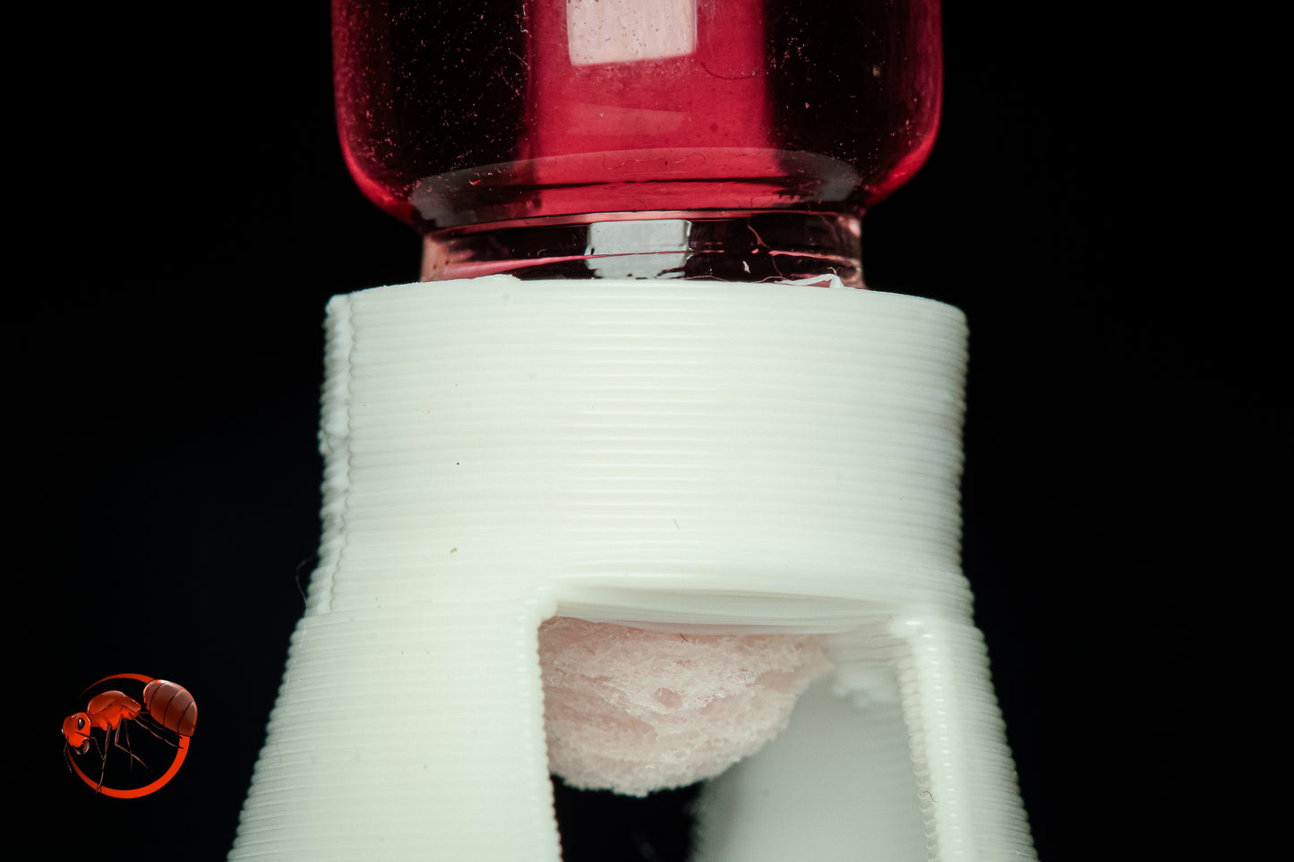 FormiFeeder 2ml (single and bundle options)